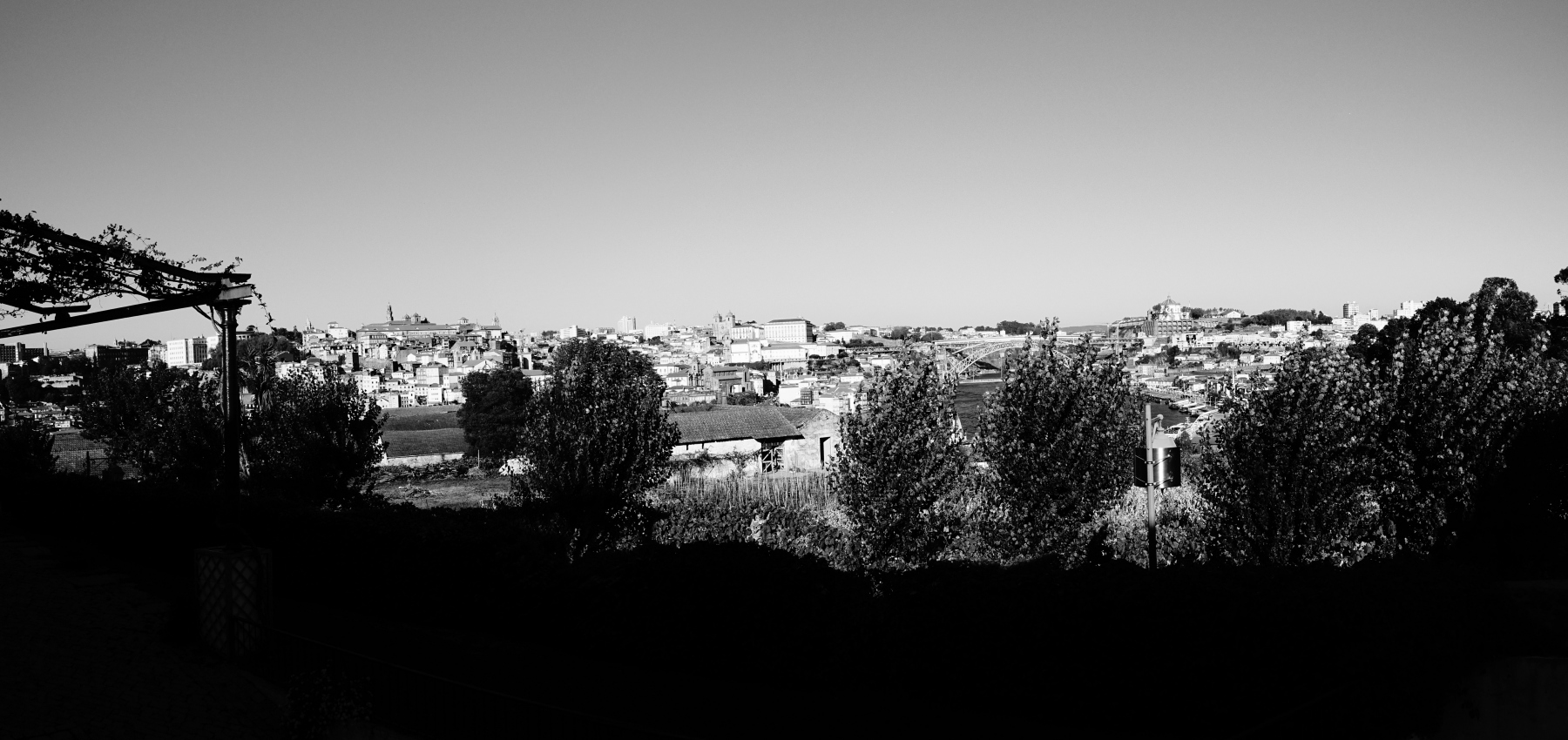 DSC05534.1