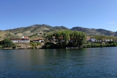 DSC05179.1