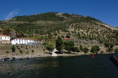 DSC05219.1