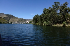 DSC05255