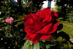 DSC05327