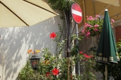 IMGP2336