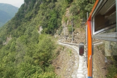 IMGP2394