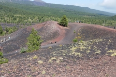 IMG_20240904_113921